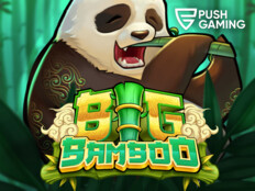 Free casino video slot games69